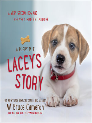 cover image of Lacey's Story